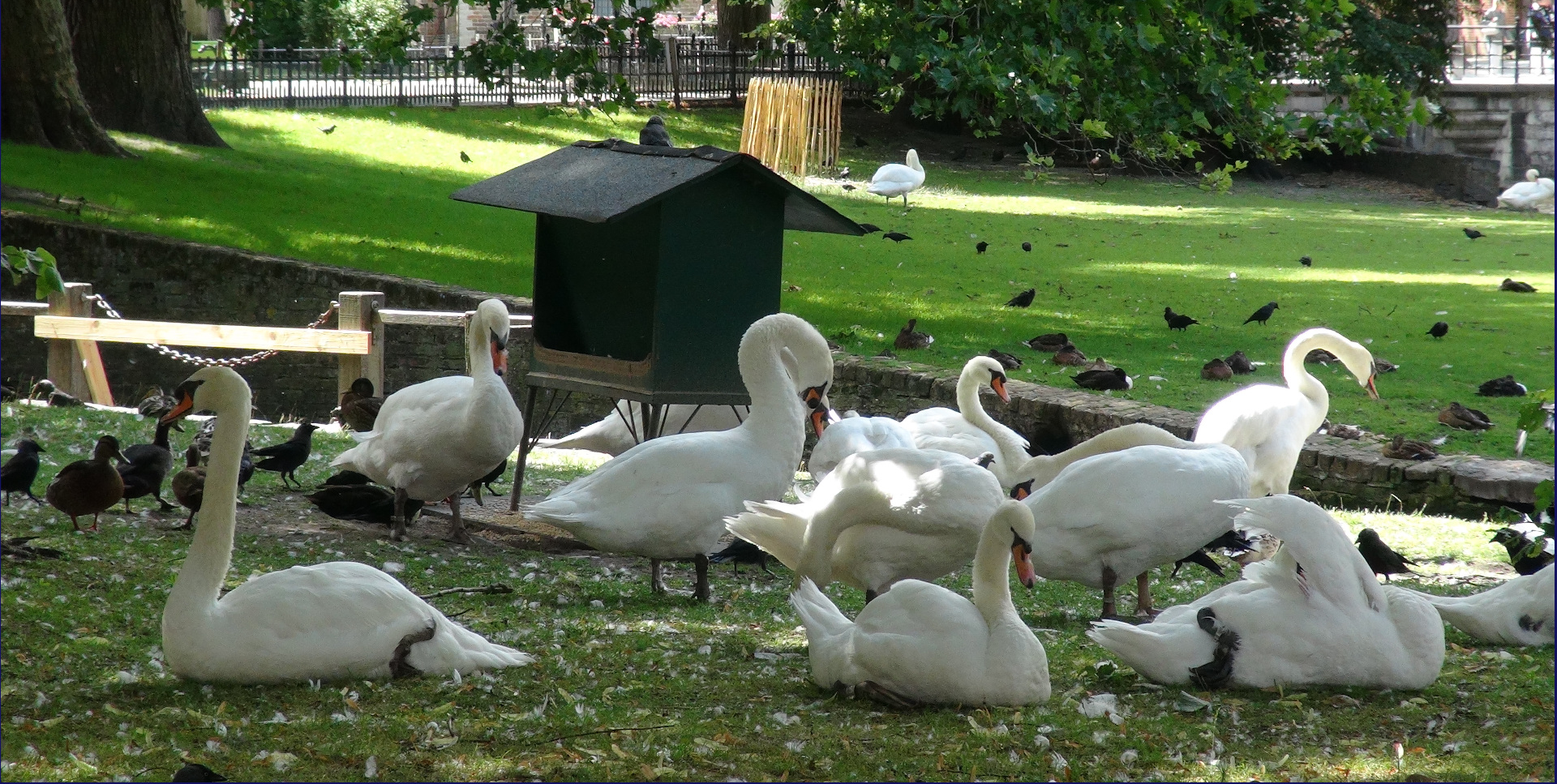 Respect for the locals